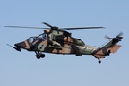 Highlight for Album: Tiger A38-013 Highlight for Album: Tiger A38-013