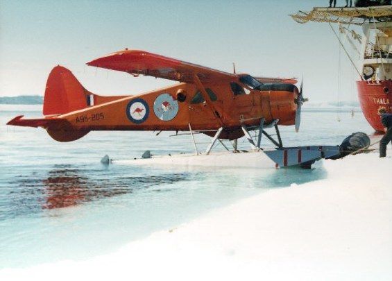 Highlight for Album: Beaver A95-205 Highlight for Album: Beaver A95-205