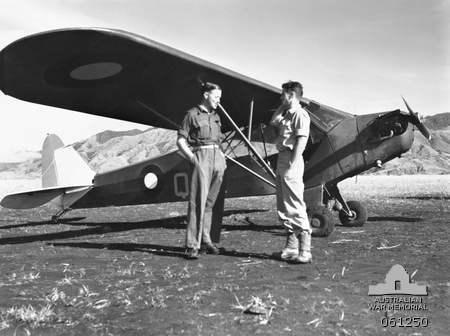 Piper L-4 Grasshopper 